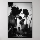 Search for white rose art Foliage