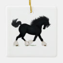 Search for draft horse Shire