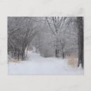 Search for solitude postcards Winter