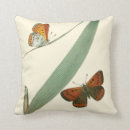 Search for butterfly cushions Flower