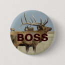 Search for elks badges Hunting