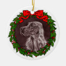 Search for irish setter christmas tree decorations For pets
