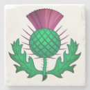 Search for scottish thistle coasters Scotland
