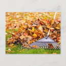 Search for raking postcards Autumn