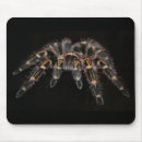 Search for tarantulas mousepads Arachnid