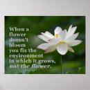 Search for lotus flower quote posters Life