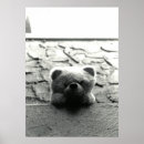 Search for 35mm posters White