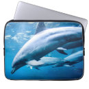 Search for dolphin picture electronics Sea