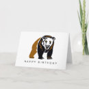 Search for grizzly bear cards Wildlife