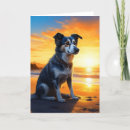 Search for beach at sunset birthday cards Dog