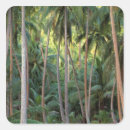 Search for bora bora stickers Palm tree