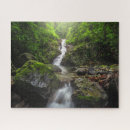 Search for rainforest puzzles Waterfalls