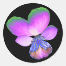 Search for pretty pansy stickers Purple