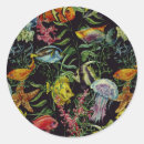 Search for shore life stickers Seashore