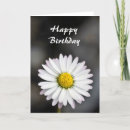 Search for yellow daisy birthday cards Daisies