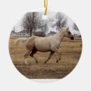 Search for palomino horse christmas tree decorations Equine