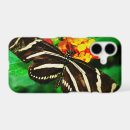 Search for zebra longwing Butterfly