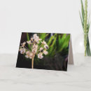 Search for macro photography cards Nature