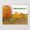 Search for alive postcards Photography