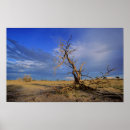 Search for camel art Arid