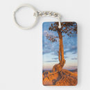Search for bryce key rings Desert