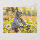 Search for hoodie postcards Cat