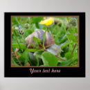 Search for snail posters Animal