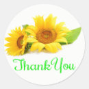 Search for yellow floral stickers Sunflowers