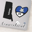 Search for connecticut state flag stickers Connecticuter