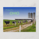 Search for farm with cows postcards Mail