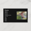 Search for hummingbird business cards Outdoors