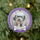 Search for puppies christmas tree decorations Modern