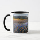 Search for abel mugs South island