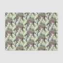 Search for ring tailed lemur gift wrap Nature