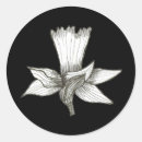 Search for pen drawing stickers For her
