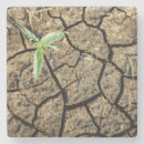 Search for cracked barware Earth