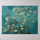 Search for almond tree posters Blossoming