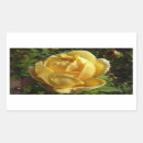 Search for english roses stickers Floral
