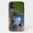 Search for hawk iphone cases Photography