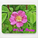 Search for rosae electronics Rose
