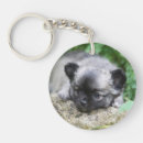 Search for long haired chihuahua key rings Headshot