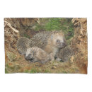 Search for baby animals pillowcases Animals in the wild