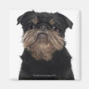 Search for studio photo magnets Dog
