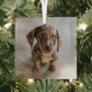 Search for miniature dachshund christmas tree decorations Dog