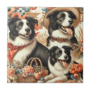 Search for border collie tiles Cute