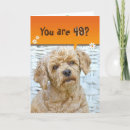 Search for poodle birthday cards Animal