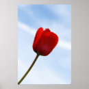Search for blue tulips art Nature