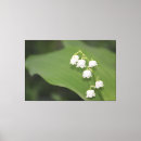 Search for lily of the valley art Floral