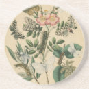 Search for insect coasters Caterpillars