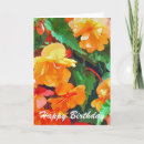 Search for begonias cards Plants